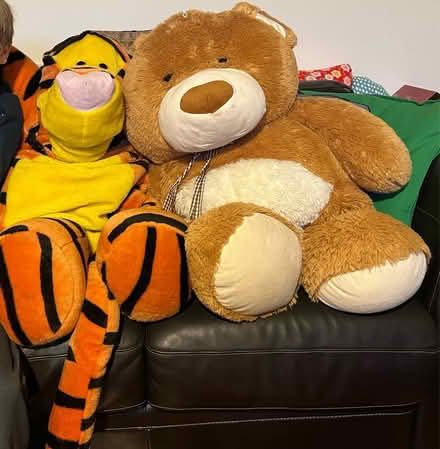 Photo of free Huge Teddy and tiger (TW12 - Hampton Hill) #1