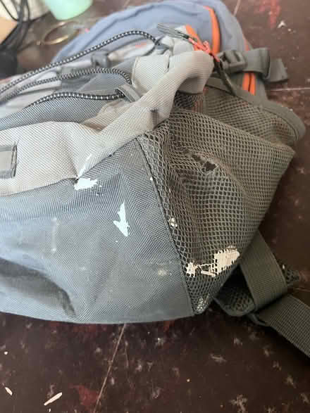 Photo of free Rucksack (Kennington, Oxford, OX1) #3