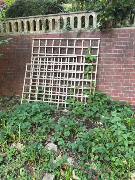 Photo of free Trellis (Limpley stoke BA2) #1