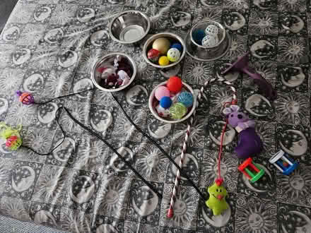 Photo of free Cat toys, bowls and comb (Bedford Rd area SG6) #1