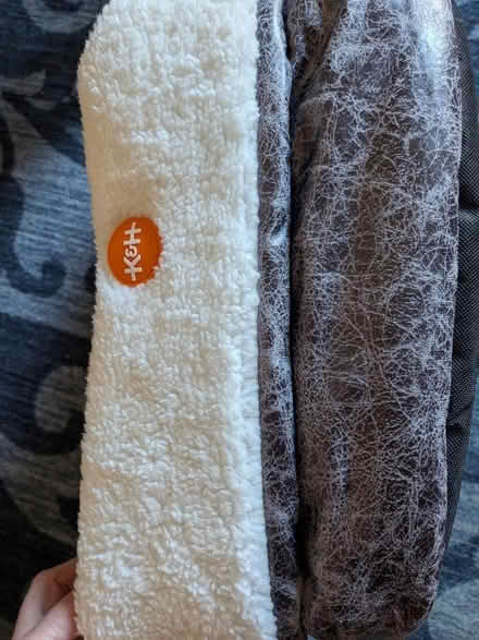 Photo of free Cat bed (North Oakland) #3