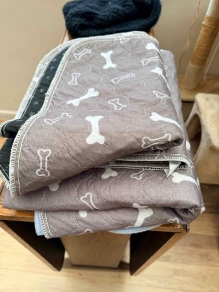 Photo of free Reusable washable puppy pads (Peasedown BA2) #1