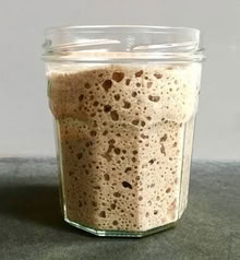 Photo of Sourdough bread starter (Mile Oak BN41) #1