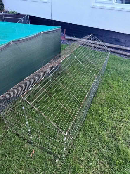 Photo of free Guinea Pig Run (Wormbridge HR2) #1