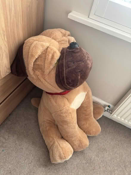 Photo of free Giant teddy bear (Leigh on sea SS9) #2