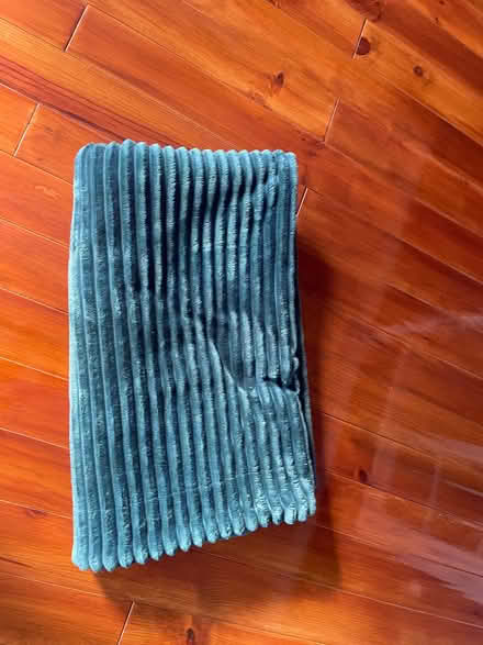 Photo of free Green blanket (The Grange EH9) #2