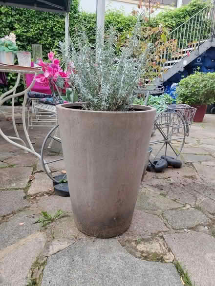 Photo of Tall plant pot (Berkhamsted, HP4) #2