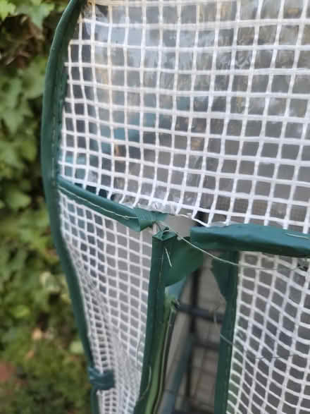 Photo of free Small greenhouse (Newport Pagnell MK16) #1