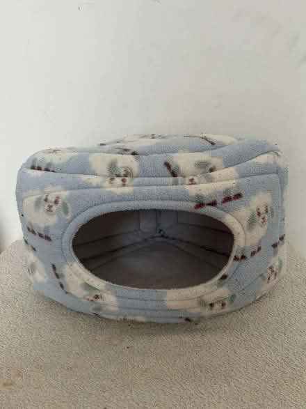 Photo of free Guinea pig "den/house" (Stockwell SW9) #1