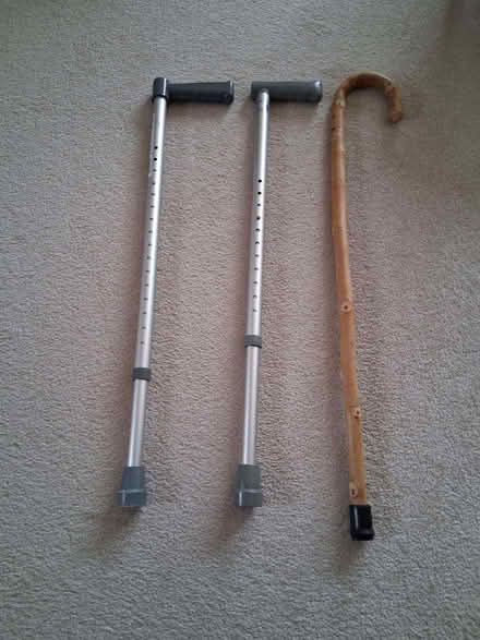 Photo of free Walking sticks (Northcourt OX14) #1