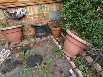 Photo of free pots and planters, with metal green house needs dismant (Bradwell Common MK13) #3