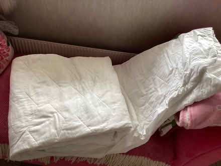 Photo of free Single bed mattress covers and pillows (Old Windsor SL4) #4