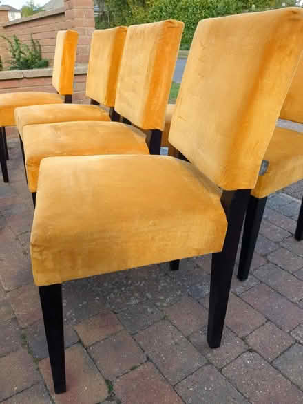 Photo of free 6 designer dining chairs (MK43) #2