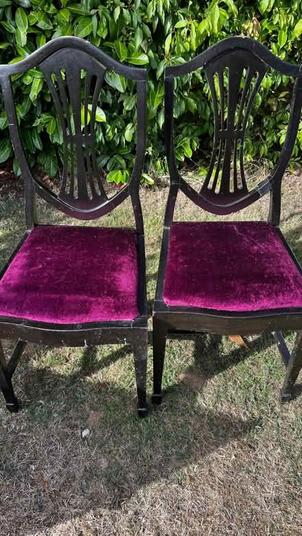 Photo of free 4 x Dining chairs some had velour fabric on cushions. (Farndon CH3) #1