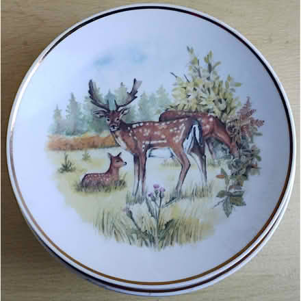 Photo of free Six Decorative "Animals of Britain" Plates (West Bletchley MK3) #1