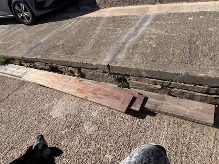 Photo of free Two scaffolding boards and two planks (Stannington S6) #1