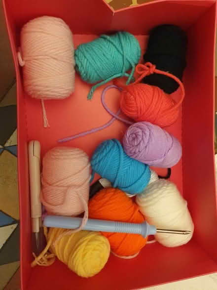 Photo of free Embroidery kit (Moseley B13) #2