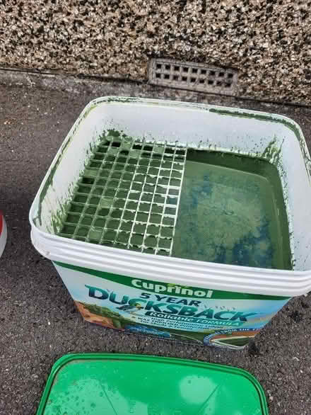 Photo of free Fence/Shed Paint (Eden Park BR3) #1