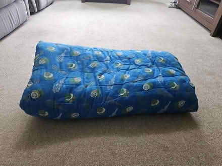 Photo of free Real cotton filled duvets (Leicester Forest East LE3) #1