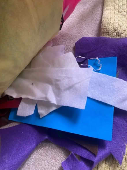 Photo of free Fabric scraps (Cumnor OX2) #4