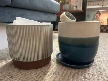 Photo of free Plant pots (chinatown) #3