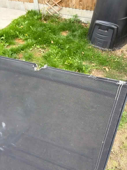 Photo of free Sun loungers (West Bergholt CO6) #4