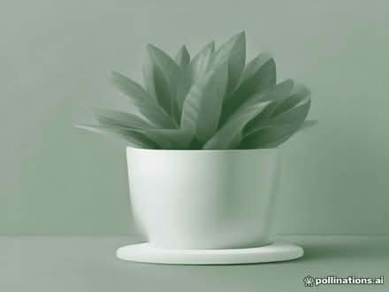 Photo of Gravel for houseplants (Camden BA1) #1