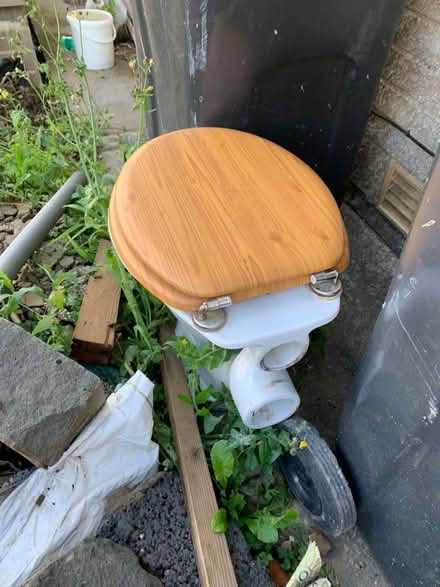 Photo of free White toilet with wooden seat (Aldcliffe LA1) #1