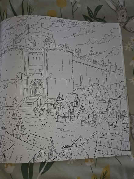 Photo of free Games of Thrones colouring book unused (Rufford L40) #2