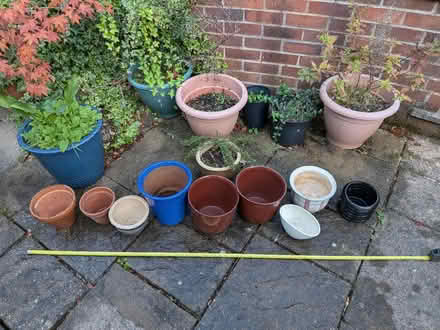 Photo of free 9 ceramic plant pots (Cannon Park CV4) #1