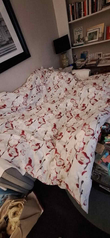 Photo of free Double duvet and duvet cover (Lion Gate TW9) #1
