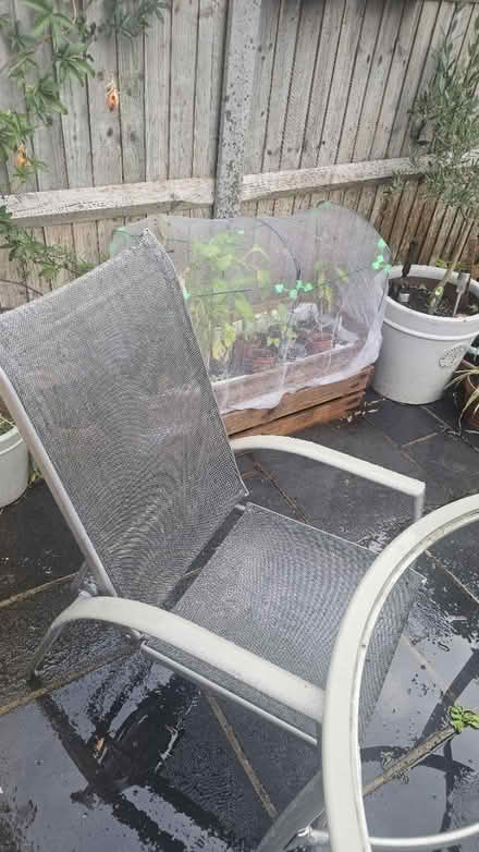 Photo of free Patio table and chairs (Wallington SM6) #4