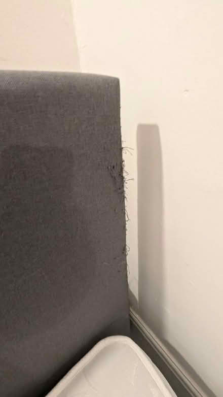 Photo of free Small double bed and mattress (Wadsley S6) #3