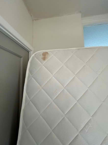 Photo of free Single mattress (Le36dr LE3) #2