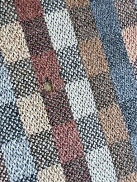 Photo of free Scottish ANTA rug in modern tartan pattern (West Common AL5) #3