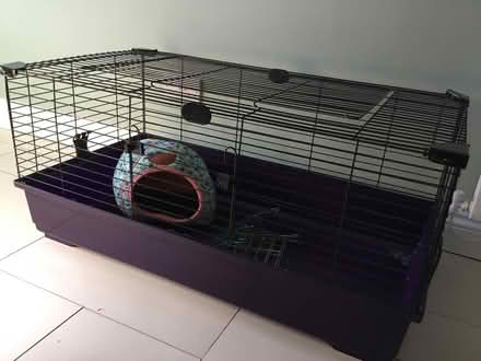Photo of free Indoor Guinea Pig/ Rabbit hutch (De21) #1