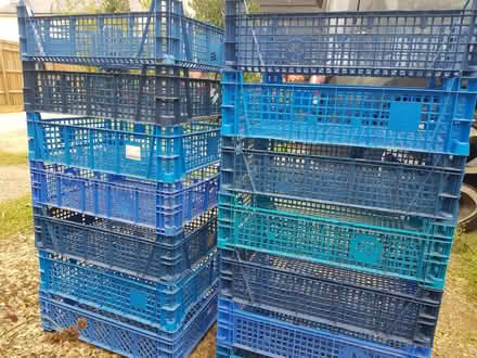 Photo of free Numerous mushroom trays (Braughing SG11) #1