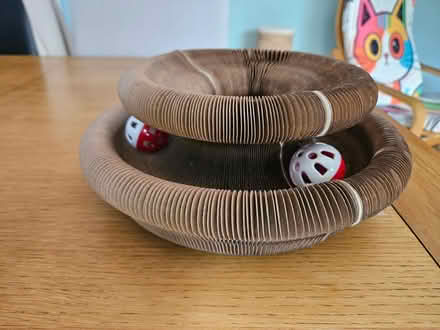Photo of free Cardboard concertina cat toy (Bedford Rd area SG6) #1