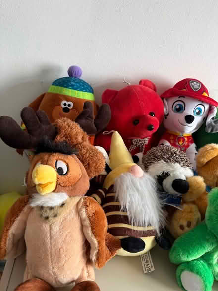 Photo of free Collection of soft plus toys (St Helens TN34) #2