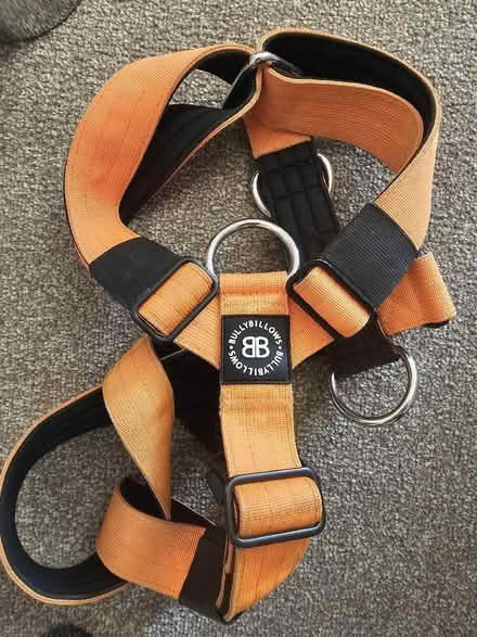 Photo of free Billy Billows Dog Harness (Congleton CW12) #1