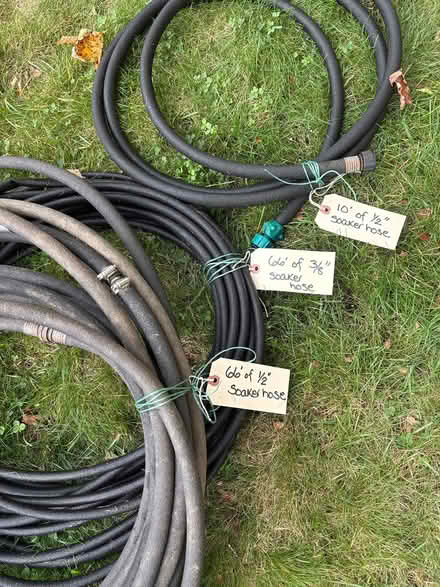 Photo of free Hoses (Court St to Old Walpole Rd) #2