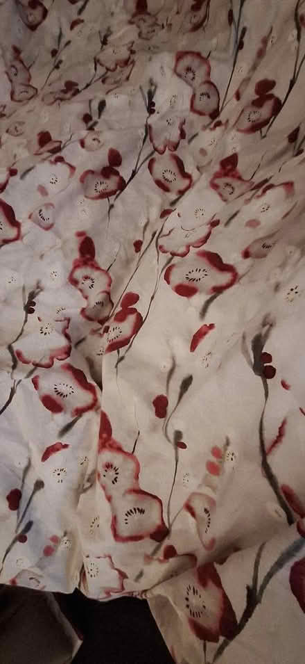 Photo of free Double duvet and duvet cover (Lion Gate TW9) #2