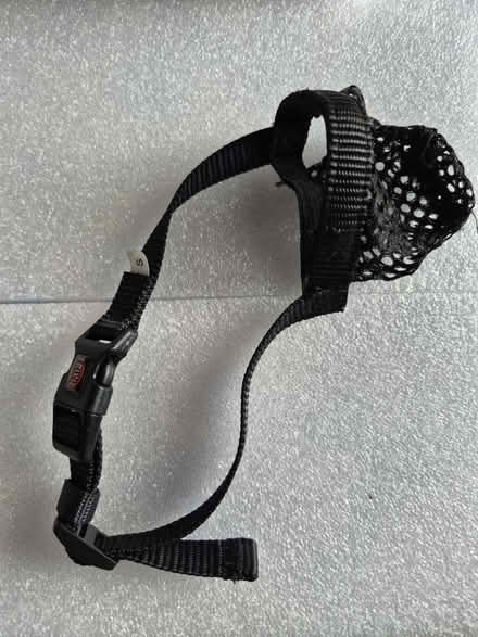 Photo of free dog muzzle small (N17 the roundway) #1
