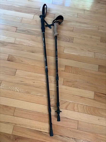 Photo of free 2 walking sticks (Off Lexington st in Waltham) #1