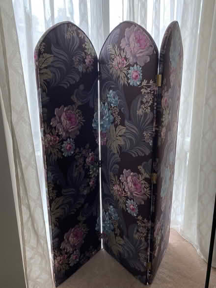 Photo of free Stunning 3 panel screen (Lewes BN7) #1