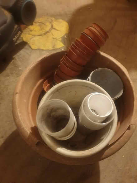Photo of free plant pots (Sandon CM2) #1