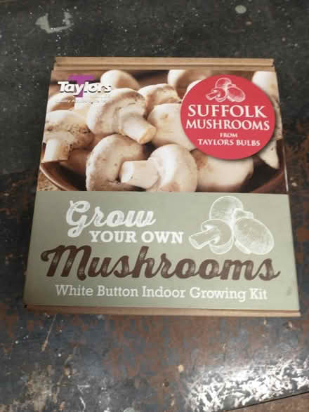 Photo of free Mushroom growing kit (Mangotsfield, BS16) #1