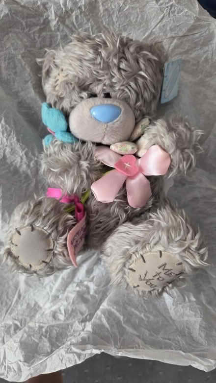Photo of free Me to You bear (Fareham PO15) #1