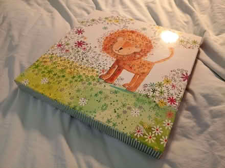 Photo of free decorative storage box, 37x37x24 cm, folds down (Boscombe BH5) #3