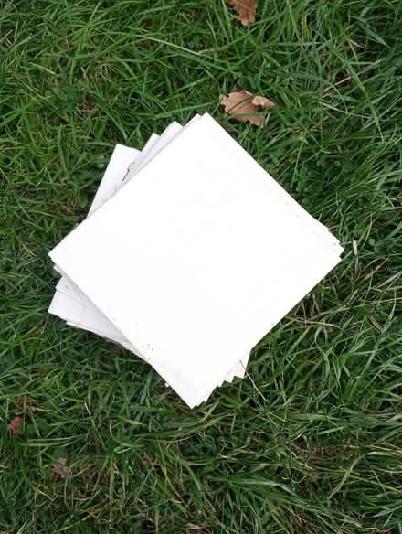Photo of free Tiles (Garden City OX5) #1